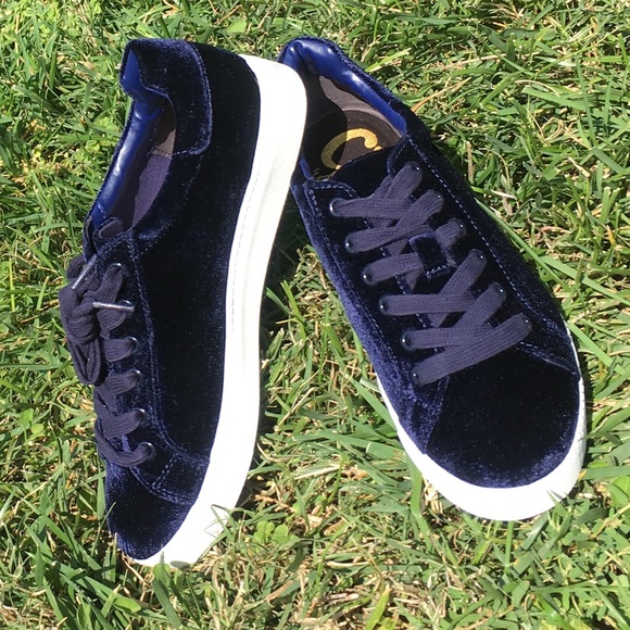 Circus by Sam Edelman Shoes - Sam Edelman Circus Caprice Navy Velvet Sneakers